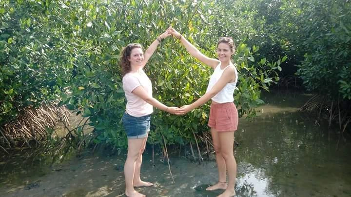 Paseo por los Manglares